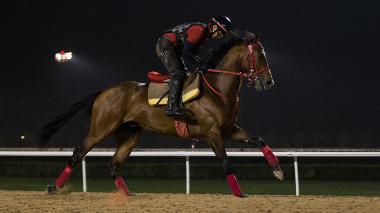 Stage Is Set For Historic 25th Dubai World Cup Image 1